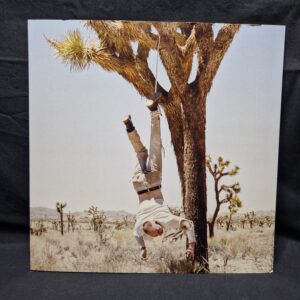 HOAX - s/t  -  LP, 2nd Hand (leichte Coverschäden)
