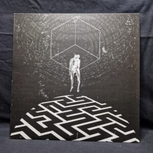 PARASIGHT/ NERVGIFT - Split-LP